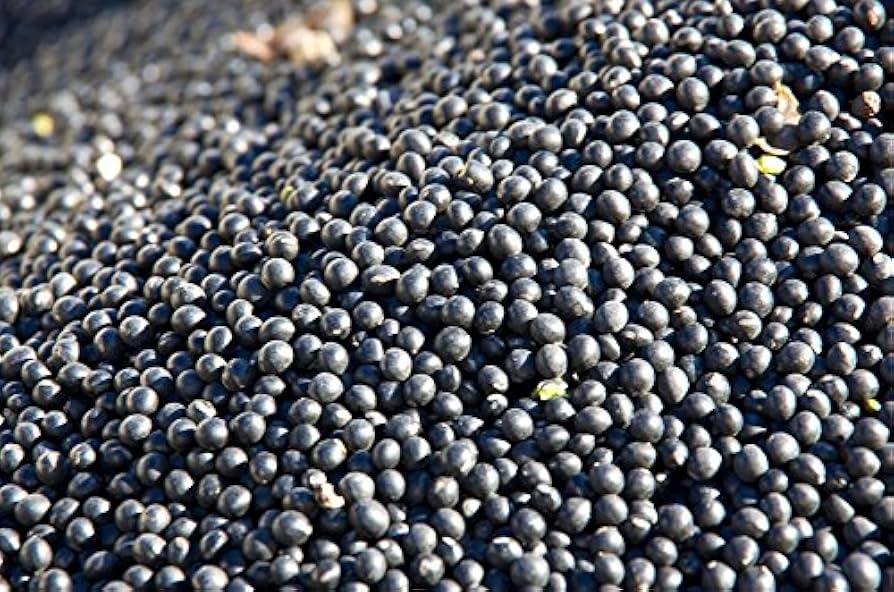 大豆 Amazon.co.jp: 黒千石大豆 1kg（新豆） 北海道産 【出荷元